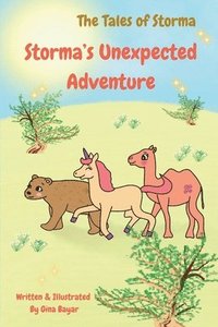 bokomslag Storma's Unexpected Adventure