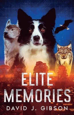 David John Gibson - Elite Memories, Häftad