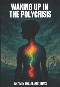 bokomslag Waking Up in the Polycrisis