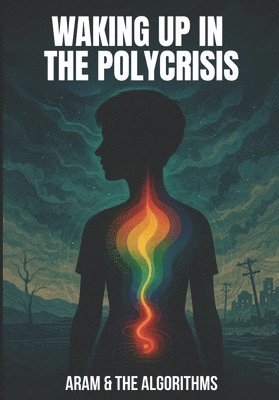 bokomslag Waking Up in the Polycrisis