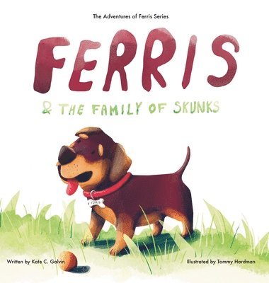bokomslag Ferris and the Family of Skunks