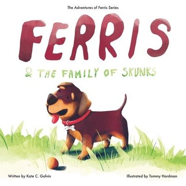 bokomslag Ferris and the Family of Skunks