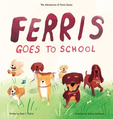 Kate C Galvin, Kate C. Galvin - Ferris Goes to School, Inbunden