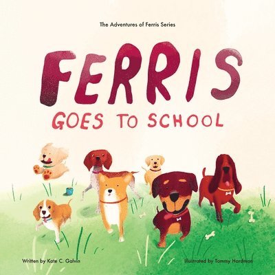 Kate C Galvin, Kate C. Galvin - Ferris Goes to School, Häftad