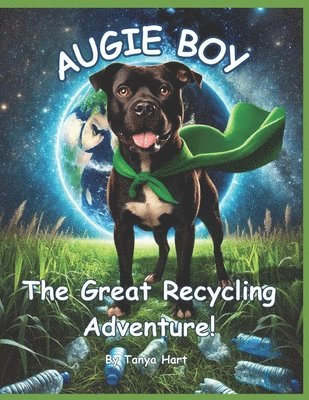 bokomslag Augie Boy and the Great Recycling Adventure!