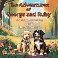 bokomslag Sensory Processing and Self-Advocacy