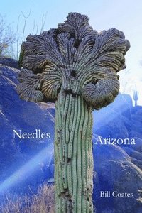 bokomslag Needles Arizona