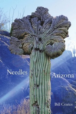 bokomslag Needles Arizona
