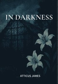 bokomslag In Darkness