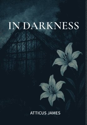 bokomslag In Darkness