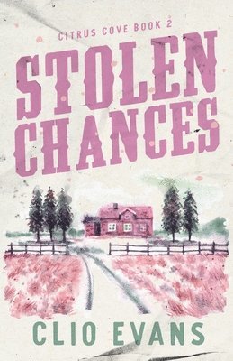 Stolen Chances