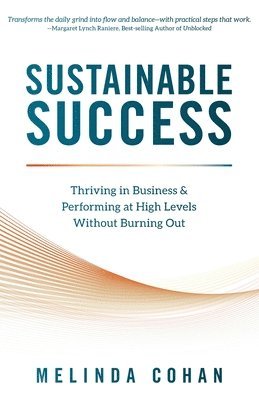 bokomslag Sustainable Success