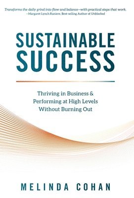 bokomslag Sustainable Success