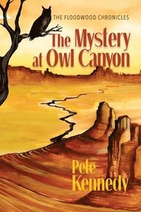 bokomslag The Mystery at Owl Canyon