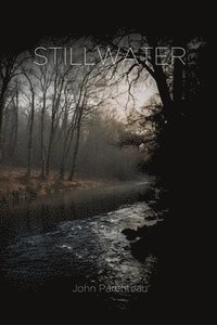 bokomslag Stillwater