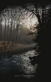 bokomslag Stillwater