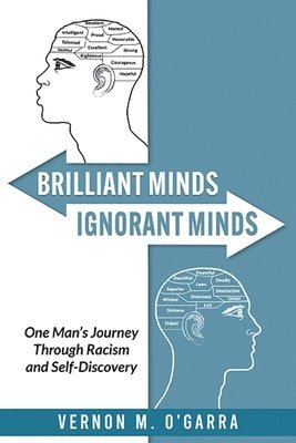 bokomslag Brilliant Minds, Ignorant Minds: One Man's Journey Through Racism and Self-Discovery