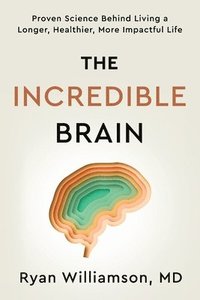 bokomslag Incredible Brain