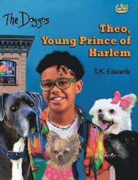 bokomslag Theo, Young Prince of Harlem