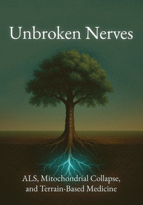 bokomslag Unbroken Nerves
