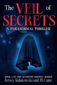 bokomslag Veil of Secrets