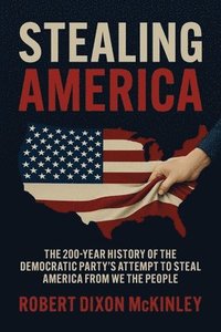 bokomslag Stealing America