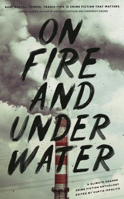 Jay Butkowski, Curtis Ippolito, Roger Nokes - On Fire and Under Water, Häftad