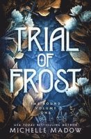 Michelle Madow - Trial of Frost, Häftad