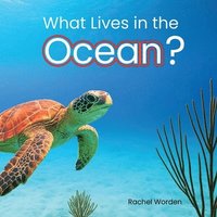 bokomslag What Lives in the Ocean