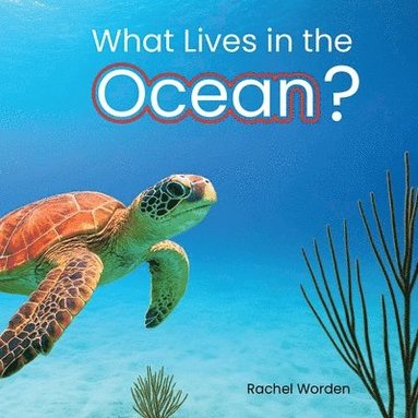 bokomslag What Lives in the Ocean