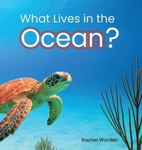 bokomslag What Lives in the Ocean? (Habitat Series)