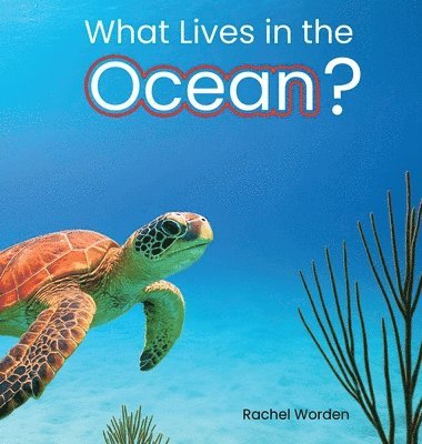 bokomslag What Lives in the Ocean? (Habitat Series)