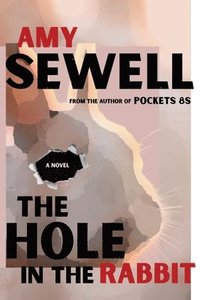 bokomslag Hole In The Rabbit