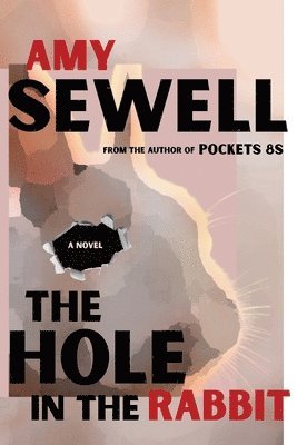 bokomslag Hole In The Rabbit