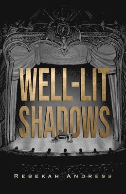 bokomslag Well-Lit Shadows