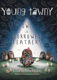 bokomslag Young Tawny: The Owl in Borrowed Feathers