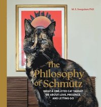 bokomslag The Philosophy of Schmütz