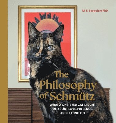 bokomslag The Philosophy of Schmütz