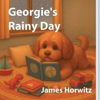 bokomslag Georgie's Rainy Day