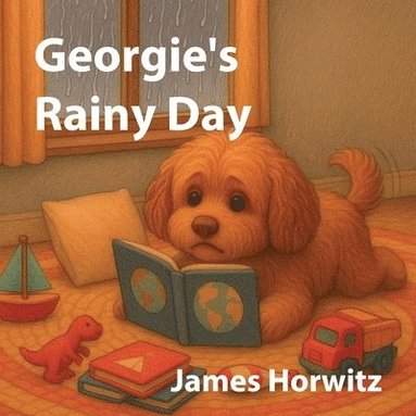 bokomslag Georgie's Rainy Day