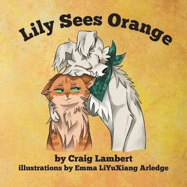 Craig Lambert - Lily Sees Orange, Häftad