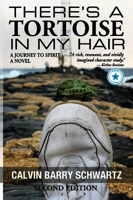 There's a Tortoise in My Hair - Inspirational Memoir, Metaphysical & Visionary Literary Fiction, literary fiction about consciousness and spiritual gr