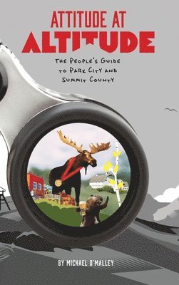 Attitude at Altitude