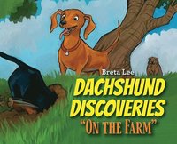 bokomslag Dachshund Discoveries