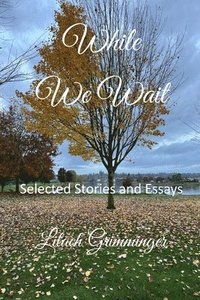 bokomslag While We Wait: Selected Stories & Essays