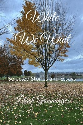 bokomslag While We Wait: Selected Stories & Essays