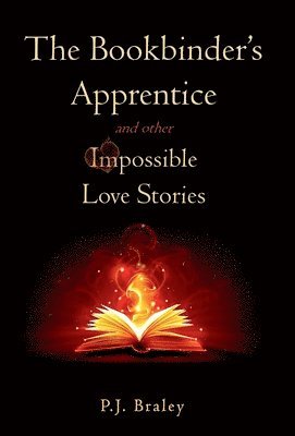 Bookbinder's Apprentice and other Impossible Love Stories