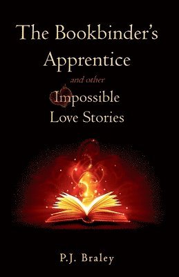 Bookbinder's Apprentice and other Impossible Love Stories