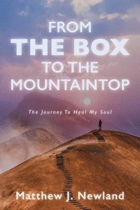 bokomslag From the Box to the Mountaintop