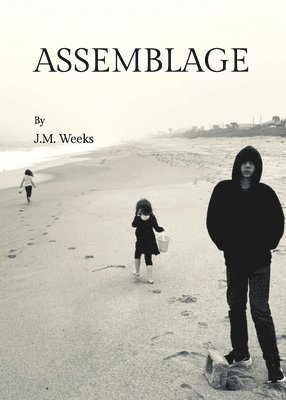 Assemblage